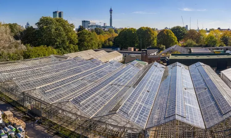 Unused glasshouses